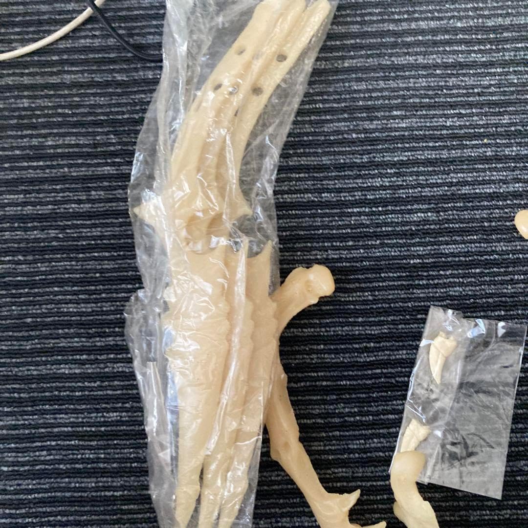 キット プレデターヘッド 骨格 ソフビ キャスト キット デカイ